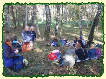 Gemeinsames Picknick im Wald